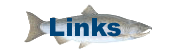 Local and Other Related Fishing Sport Links